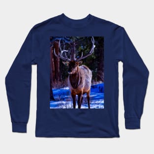 elk cutie - rocky mountain national park Long Sleeve T-Shirt